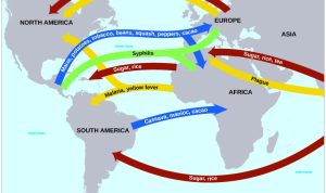 Trade Deals Fuel Global Market Optimism