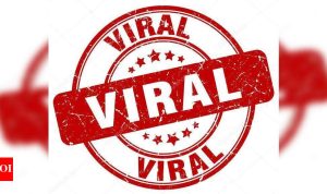 Viral Robot Innovations Taking Over Social Media