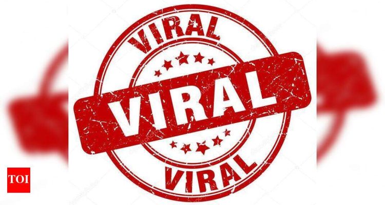 Viral Robot Innovations Taking Over Social Media
