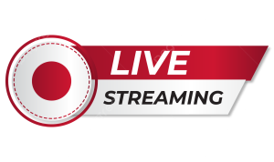 Streaming Series That Changed the Way We Binge