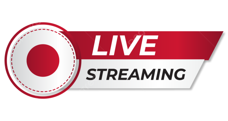 Streaming Series That Changed the Way We Binge